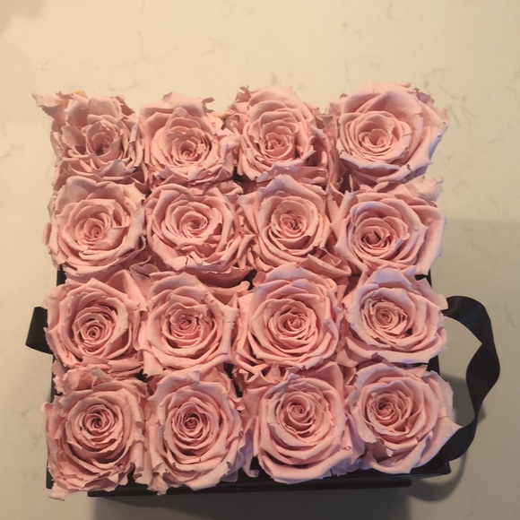 Venus Et Fleur - Picture 2 of 3